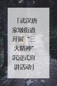 武汉唐家墩街道开展“三大精神”沉浸式宣讲活动