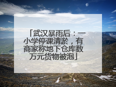 武汉暴雨后：一小学停课清淤，有商家称地下仓库数万元货物被泡
