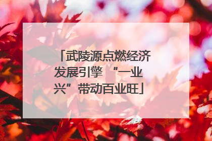 武陵源点燃经济发展引擎 “一业兴”带动百业旺