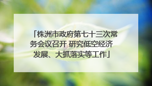 株洲市政府第七十三次常务会议召开 研究低空经济发展、大抓落实等工作