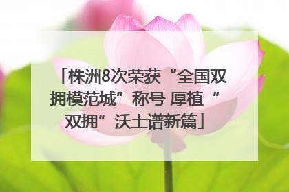 株洲8次荣获“全国双拥模范城”称号 厚植“双拥”沃土谱新篇