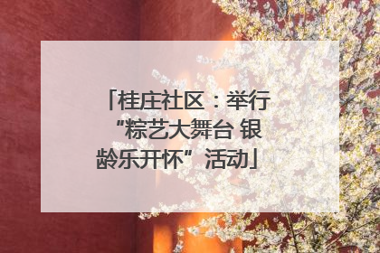 桂庄社区：举行“粽艺大舞台 银龄乐开怀”活动