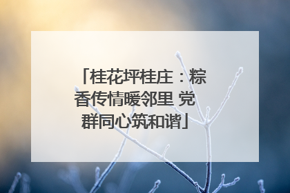 桂花坪桂庄：粽香传情暖邻里 党群同心筑和谐
