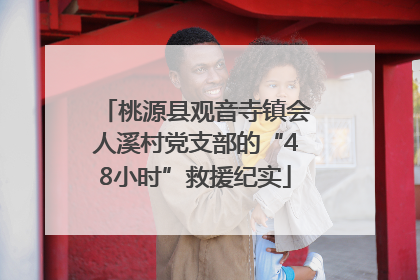 桃源县观音寺镇会人溪村党支部的“48小时”救援纪实