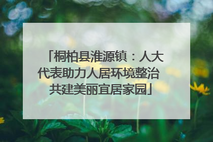 桐柏县淮源镇：人大代表助力人居环境整治 共建美丽宜居家园