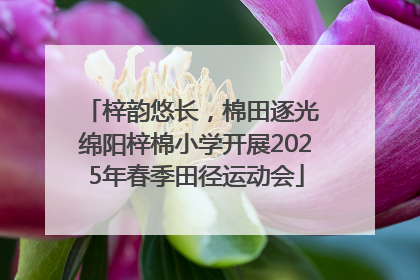 梓韵悠长，棉田逐光 绵阳梓棉小学开展2025年春季田径运动会