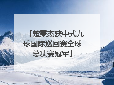 楚秉杰获中式九球国际巡回赛全球总决赛冠军