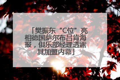 樊振东“C位”亮相德国萨尔布吕肯海报，俱乐部经理透露其加盟内幕