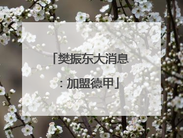 樊振东大消息：加盟德甲