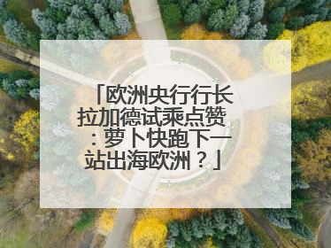 欧洲央行行长拉加德试乘点赞：萝卜快跑下一站出海欧洲？