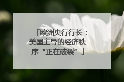 欧洲央行行长：美国主导的经济秩序“正在破裂”