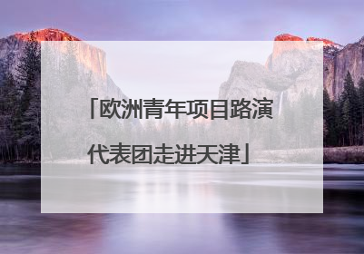 欧洲青年项目路演代表团走进天津