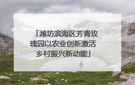 潍坊滨海区芳青玫瑰园以农业创新激活乡村振兴新动能