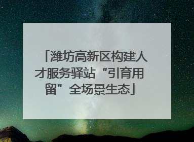 潍坊高新区构建人才服务驿站“引育用留”全场景生态