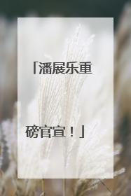 潘展乐重磅官宣！