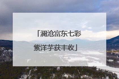 澜沧富东七彩紫洋芋获丰收