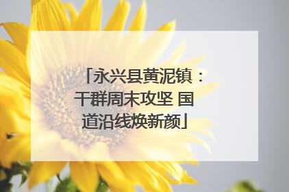永兴县黄泥镇：干群周末攻坚 国道沿线焕新颜