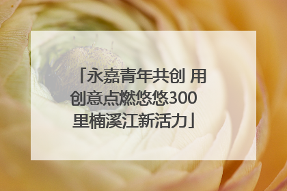 永嘉青年共创 用创意点燃悠悠300里楠溪江新活力