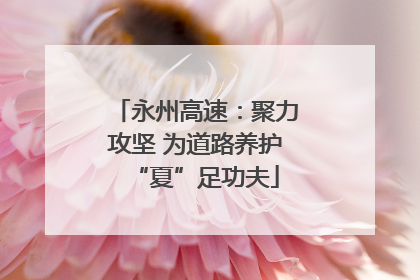 永州高速：聚力攻坚 为道路养护“夏”足功夫