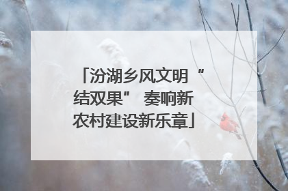 汾湖乡风文明“结双果” 奏响新农村建设新乐章