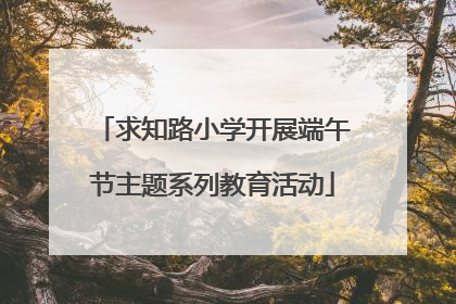 求知路小学开展端午节主题系列教育活动