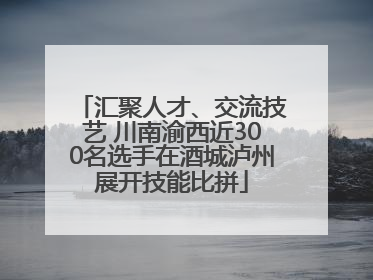 汇聚人才、交流技艺 川南渝西近300名选手在酒城泸州展开技能比拼