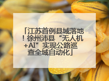 江苏首例县域落地！徐州沛县“无人机+AI”实现公路巡查全域自动化