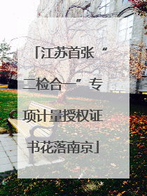 江苏首张“二检合一”专项计量授权证书花落南京