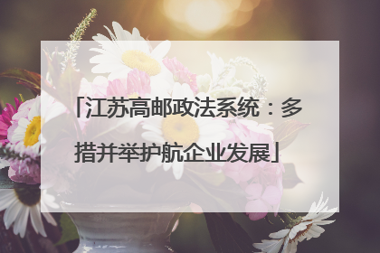 江苏高邮政法系统：多措并举护航企业发展