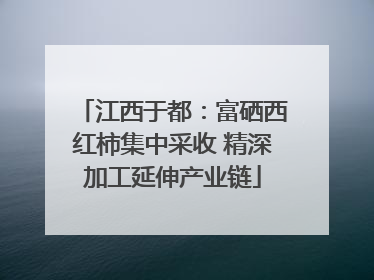 江西于都：富硒西红柿集中采收 精深加工延伸产业链