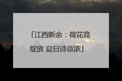 江西新余：荷花竞绽放 夏日诗意浓