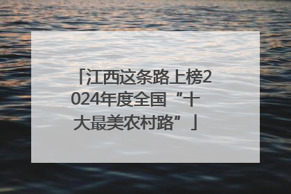 江西这条路上榜2024年度全国“十大最美农村路”