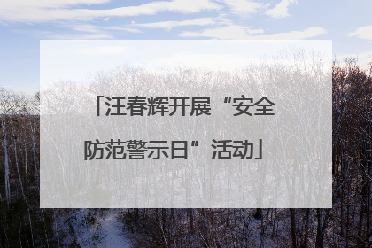 汪春辉开展“安全防范警示日”活动