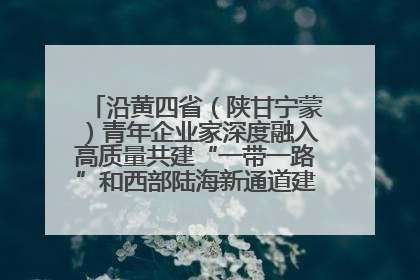 沿黄四省（陕甘宁蒙）青年企业家深度融入高质量共建“一带一路”和西部陆海新通道建设战略合作交流会在甘肃兰州召开