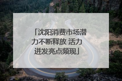 沈阳消费市场潜力不断释放 活力迸发亮点频现