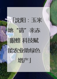 沈阳：玉米地“请”来赤眼蜂 科技赋能农业助绿色增产