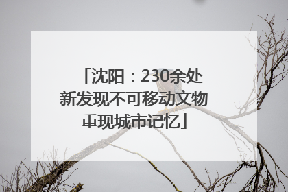 沈阳：230余处新发现不可移动文物重现城市记忆
