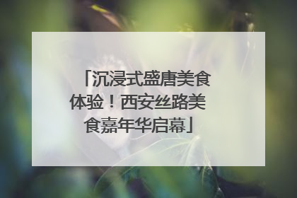 沉浸式盛唐美食体验！西安丝路美食嘉年华启幕