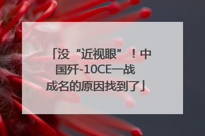 没“近视眼”！中国歼-10CE一战成名的原因找到了
