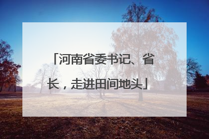 河南省委书记、省长，走进田间地头