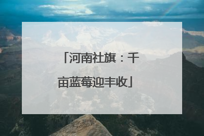 河南社旗：千亩蓝莓迎丰收