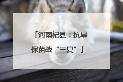河南杞县：抗旱保苗战“三夏”