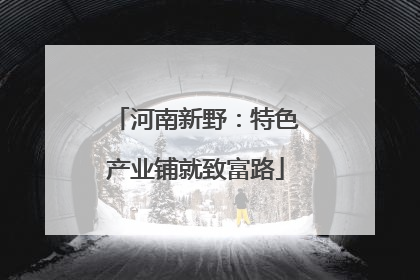 河南新野：特色产业铺就致富路