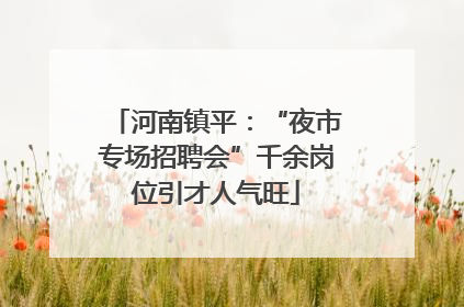 河南镇平：“夜市专场招聘会”千余岗位引才人气旺