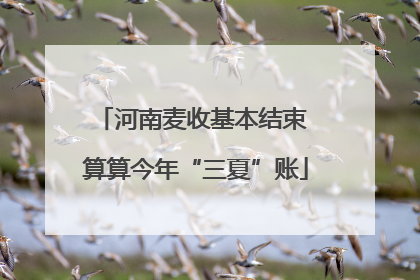 河南麦收基本结束 算算今年“三夏”账