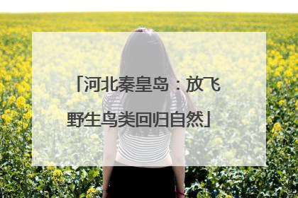 河北秦皇岛：放飞野生鸟类回归自然