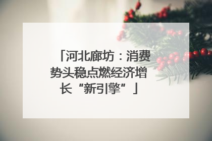 河北廊坊：消费势头稳点燃经济增长“新引擎”