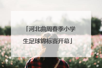 河北曲周春季小学生足球锦标赛开幕
