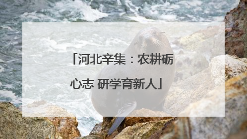 河北辛集：农耕砺心志 研学育新人