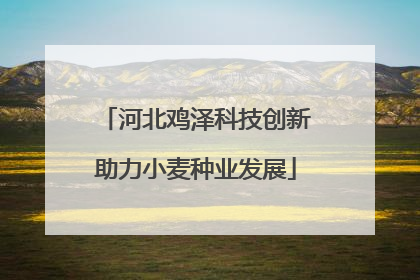 河北鸡泽科技创新助力小麦种业发展